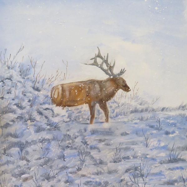'Winter Elk' Original Oil Painting