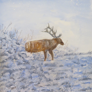 'Winter Elk' Original Oil Painting