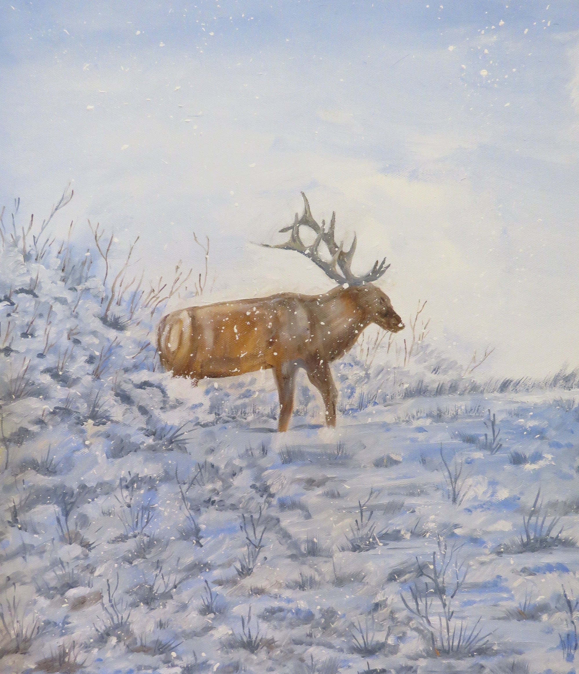 'Winter Elk' Original Oil Painting